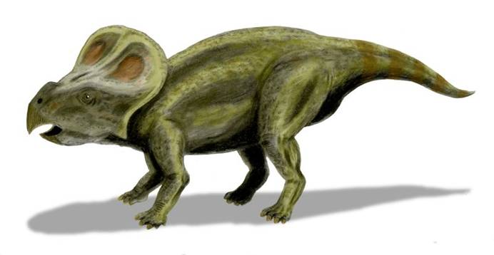 Archivo:Protoceratops BW.jpg